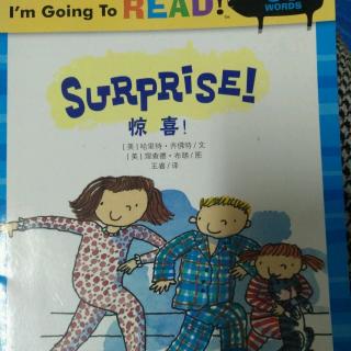 点点读绘本～surprise