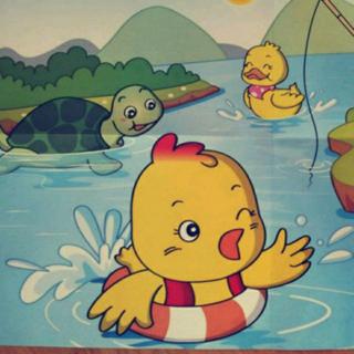 第29期合田中心幼儿园睡前故事《要学游泳的鸡》