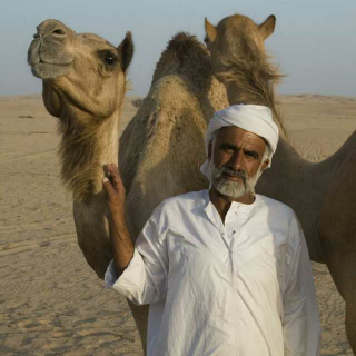 睡前故事《阿拉伯人和他的骆驼》