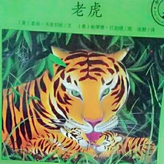 🐯老虎