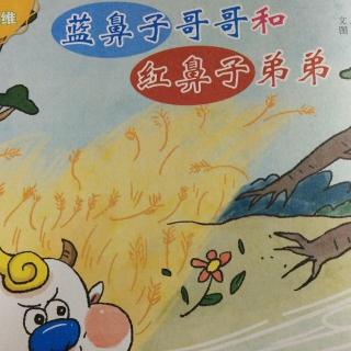 蓝鼻子哥哥和红鼻子弟弟