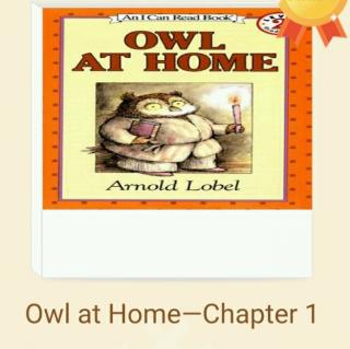 22.Owl at home 1