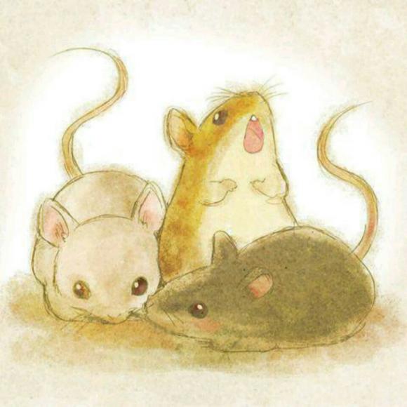 睡前故事 《三只小老鼠和一只大公鸡》