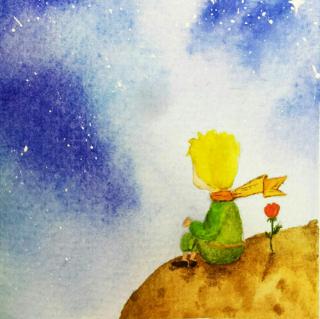 The little prince 1-2