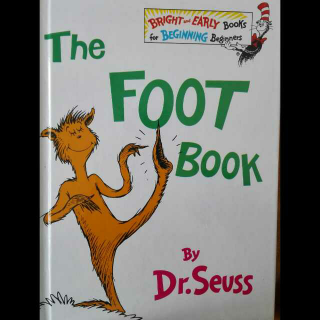 The   Foot  Book