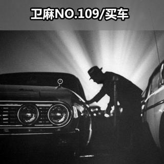 买车/NO.109