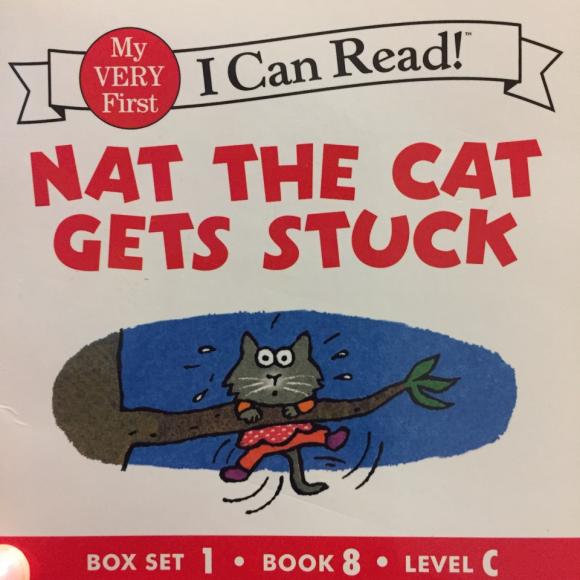 nat the cat gets stuck