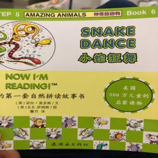 SNAKE DANCE 小蛇狂舞