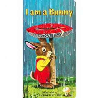  【艾玛读绘本】磨耳朵 I am a Bunny