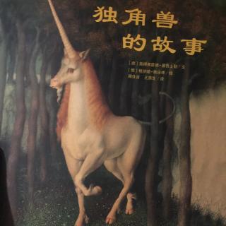 独角兽🦄️的故事