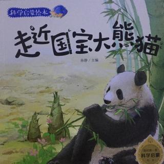 戴叔叔读故事 976 《国宝大熊猫的故事》