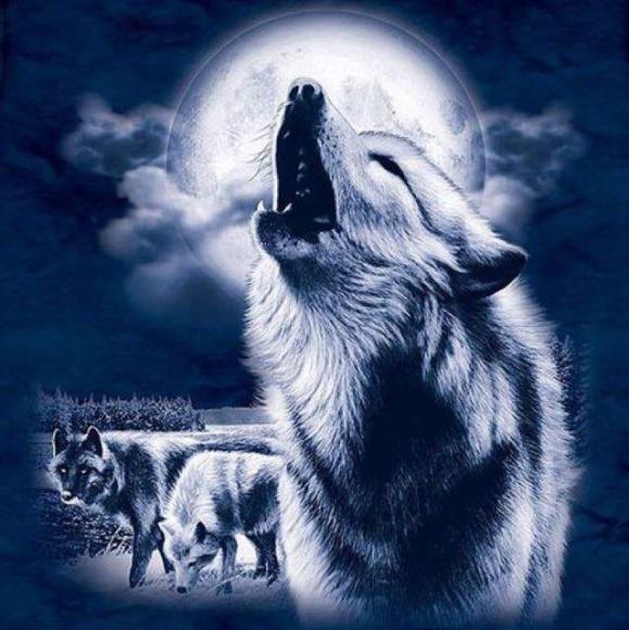 雾都夜狼传说--亲情篇