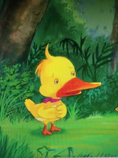 【迪宝教育】睡前故事：《低头走路的小鸭子》