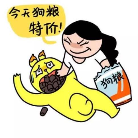 今天,我是来撒狗粮的