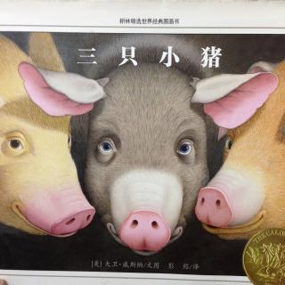 《三只小猪》英国绘本