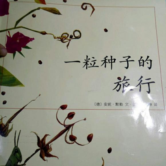 一粒种子的旅行