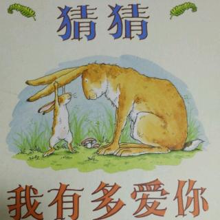 猜猜我有多爱你