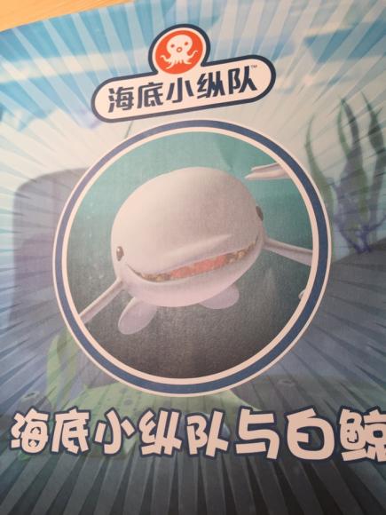 海底小纵队与白鲸