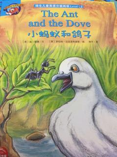 The ant and the Dove