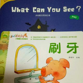 《刷牙》《What can you see？》