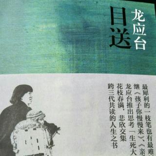 《目送》一、1目送