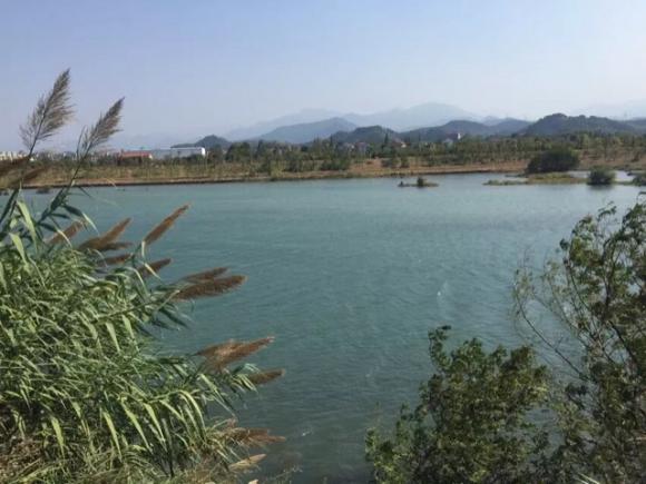 英语小故事随堂读a clever crow