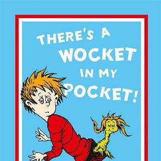 2017.11.07-There's a Wocket in My Pocket