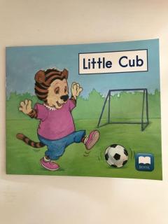Book 20 Little Cub