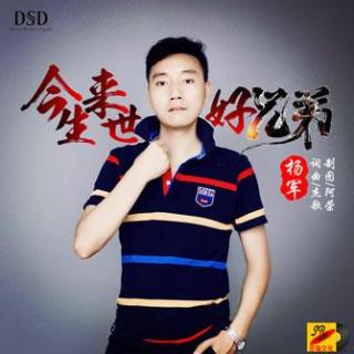 杨军 - 今生来世好兄弟(DJ酷B 2017  Mix)