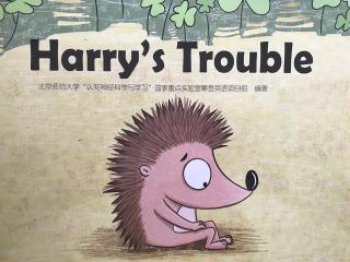 四级绘本～Harry's trouble