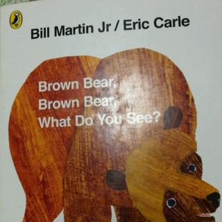 淘淘版brown bear