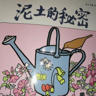 泥土的秘密