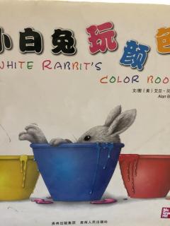 唐唐妈妈故事会-小白兔玩颜色