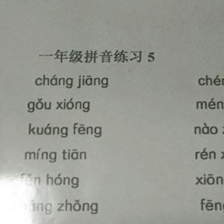 一年级拼音练习5 (2)