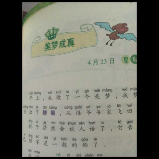 美梦成真