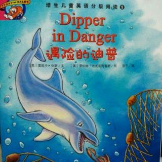 培生5《Dipper in danger》