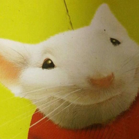 精灵鼠小弟第10段