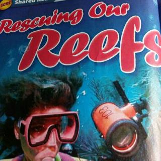 Rescuing Our Reefs