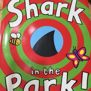 Shark in the park (Dora录制)