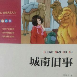 城南旧事(爸爸的花儿落了，我也不在是小孩子)