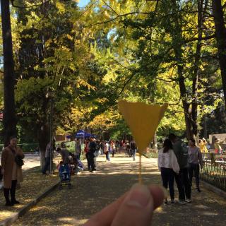 光棍节 四个男人的单身派对《特别节目》