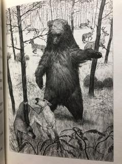 驯鹿部落——第二集：遭熊袭击
