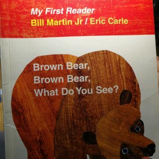 Brown bear, what do you see?