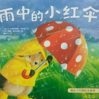 暖房子系列——雨中的小红伞