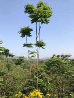 轻而易举的富足2 第十四天 第四十四课