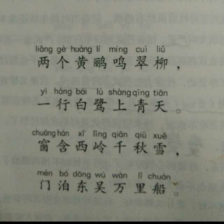 中华熊猫古诗朗诵解析杜甫《绝句》