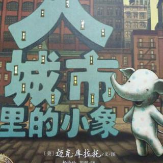 小芒果网：大城市里的小象