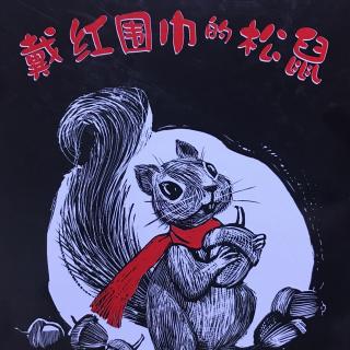 戴红围巾的松鼠🐿