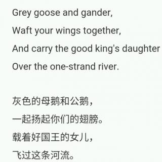 grey goose and gander