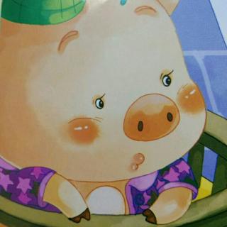 绘本故事：《睡不着的小猪》